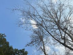 -徐家汇源景区-衡山公园