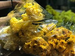 -天河体育中心