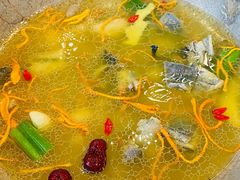 -七采菌园·石锅鱼野生菌火锅(环城北路店)