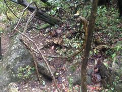 -郧西五龙河风景区