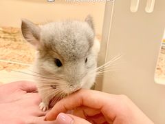 -龙猫仔乐园(惠福东路店)