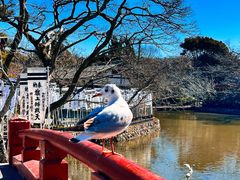 -鹤冈八幡宫