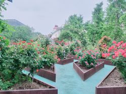 -爱儿美儿童摄影亲子馆(五路居店)