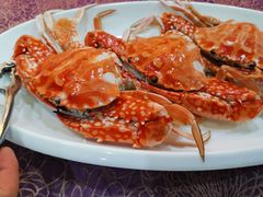 -欢乐海岸美食联盟