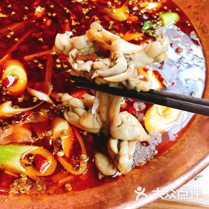 美蛙鱼头火锅
