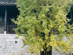 -阳明祠