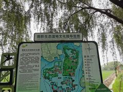 -长兴太湖图影湿地文化园