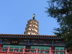 -白塔山公园