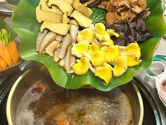 -大理董·董家小厨野生菌火锅(古城旗舰店)