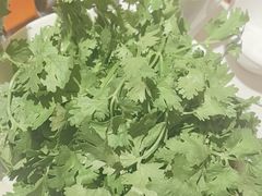 -葛记红焖羊肉(和平路形象店)