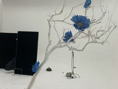 -花邻FloweringLife花艺气球派对(武康大楼店)