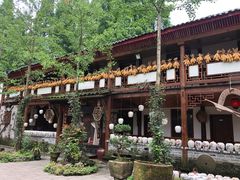 -青城甲(青城山店)