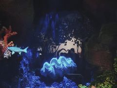 -中国湿地博物馆