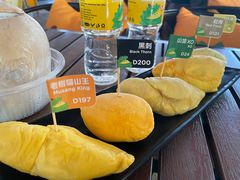 -榴莲BB 四季果园