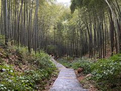 -高老庄·老溧阳·私房菜(南山竹海店)