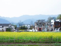 -塔川景区