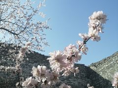 -北京明城墙遗址公园