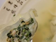 猪油渣菜肉大馄饨-老桐椿 · 上海大馄饨