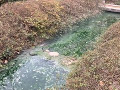 -汤山一号温泉度假区
