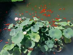 -北京市劳动人民文化宫(太庙)