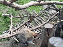 -齐齐哈尔龙沙动植物园