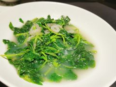 -肆月河豚·淮扬菜·湘菜(华天店)