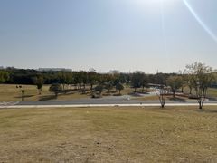 -盘龙城国家考古遗址公园