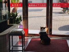 -老四川平头酸菜鱼(衙前店)