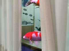 -妙艺足道水疗SPA(振华国际店)