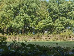 -潮府馆·非遗潮州菜·港式点心(世纪公园店)