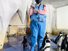 -太平洋海底世界