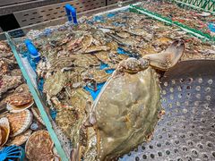 -半岛听涛蒸汽海鲜自助(K11店)