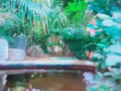 -郑州银基黄帝宫御温泉