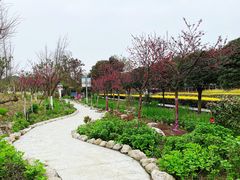 -洪湖家庭农场·团建·露营·会议