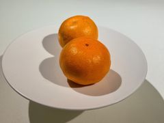 -四季民福烤鸭店(故宫店)