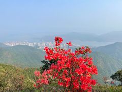 -梧桐山风景名胜区