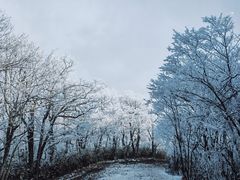 -安吉龙王山风景区