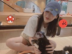 -逗柴咖啡屋·狗咖猫咖宠物桌游