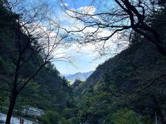 -朱雀国家森林公园