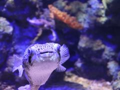 -郑州海洋馆