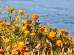 -北京园博大酒店