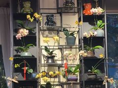 -街角 T·COFFEE 融合料理·BISTRO(车公庙店)