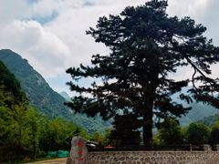 -秦岭终南山世界地质公园翠华山景区