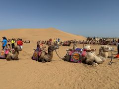 -银肯塔拉沙漠生态旅游景区