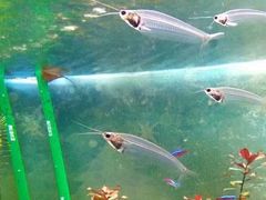 -厦门海底世界