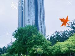 -海河游船-永乐码头(大悲院)