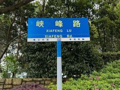 -铁山坪森林公园