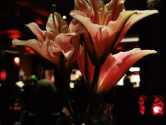 -花马天堂云南餐厅 Lost Heaven(外滩店)