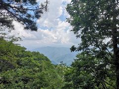 -牛背梁国家森林公园