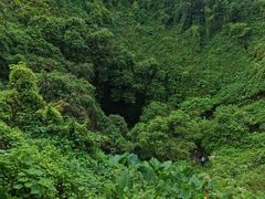 -海口火山口国家地质公园